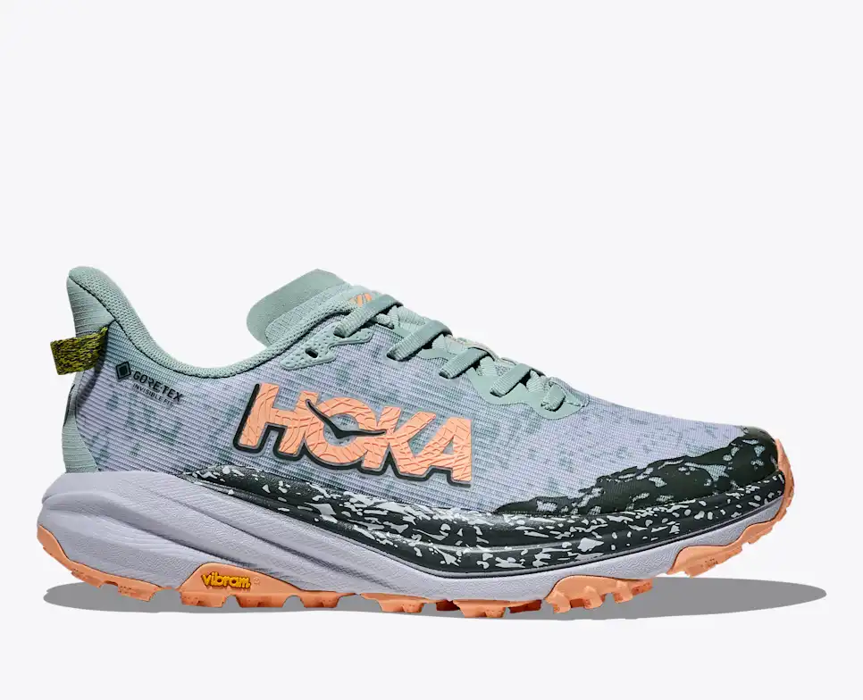 Women's Speedgoat 6 GTX